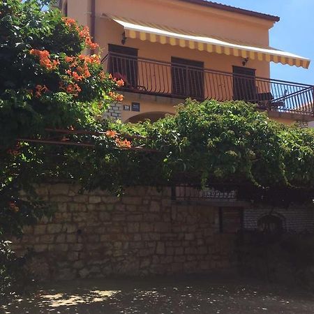 Apartments Renata Primošten Dış mekan fotoğraf