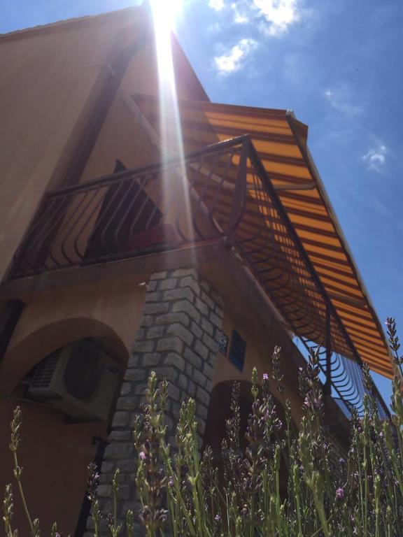 Apartments Renata Primošten Dış mekan fotoğraf